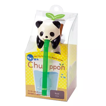 聖新陶芸Chuppon小植栽/ 貓熊/ 羅勒