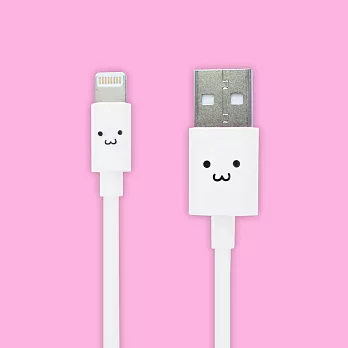 UniOne iPhone 6 Lightning USB Cable傳輸線 笑臉
