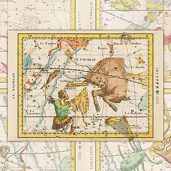 【尼森設計】圖鑑卡《星座系列》