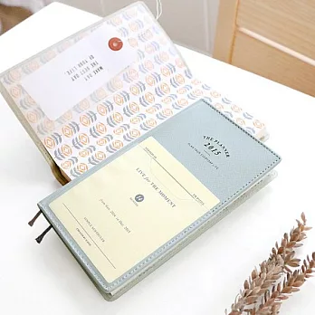 iconic 2015 經典隨身週誌(時效)-薄荷綠