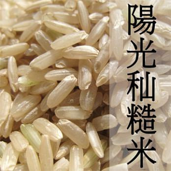《好粥稻》陽光秈糙米 長糙米 (300gX3包)