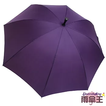 【雨傘王】BigRed不凡無敵傘-紫色☆不翻強者 雙層傘骨 手開直傘紫色