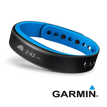 GARMIN Vivosmart 智慧運動健身手環(藍色-大)