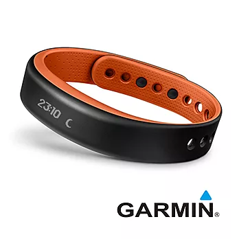 GARMIN Vivosmart 智慧運動健身手環(橘色-大)