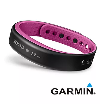 GARMIN Vivosmart 智慧運動健身手環(粉紅色-小)