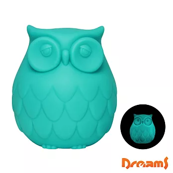 Dreams Owl 聰明貓頭鷹LED 感應夜燈(藍)