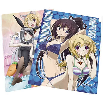 IS2 (Infinite Stratos2)-3層L型資料夾(7)