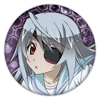 IS2 (Infinite Stratos2)-大胸章(13)