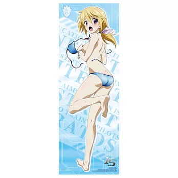 IS2 (Infinite Stratos2)-透明海報(3) (2入裝)