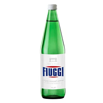 義大利Fiuggi 費齊天然翡翠礦泉水 (1000ml/單瓶)