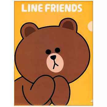 【LINE FRIENDS】新潮文件夾(Brown)