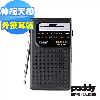 台菱AM/FM雙波段收音機GSL-R582