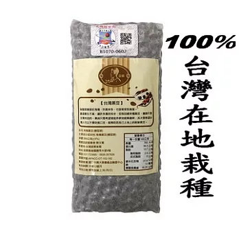 台灣本土 - 有機黑豆(500g) 轉型期- 黑皮黃仁