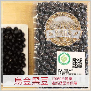 【台灣九號】100%非基改 烏金黑豆 1包入(500g/包)