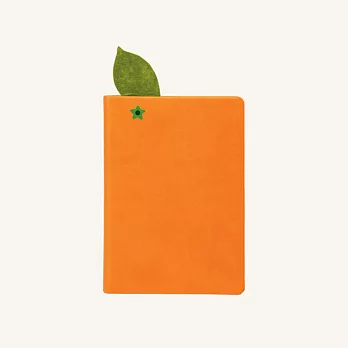 【Daycraft】水果系列筆記本 – A6 , 橙