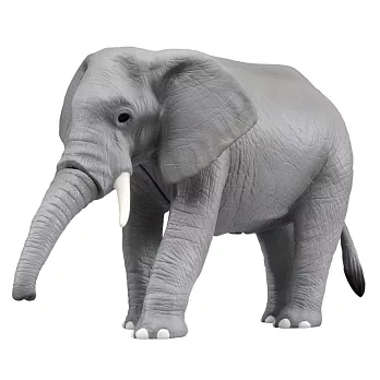 TOMICA多美動物園 - 音效版AS02 非洲象