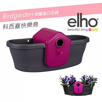 elho荷蘭時尚園藝花盆器 : 科西嘉快樂鳥 花器灰黑