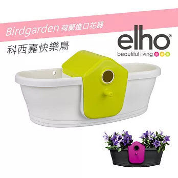 elho荷蘭時尚園藝花盆器 : 科西嘉快樂鳥 花器 萊姆綠