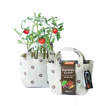 【迎光】Vegetable besket小植栽-迷你番茄