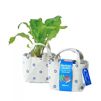 【迎光】Vegetable basket小植栽-櫻桃蘿蔔