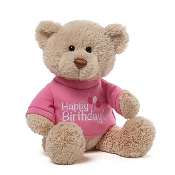 美國GundT恤泰迪熊/生日快樂/粉