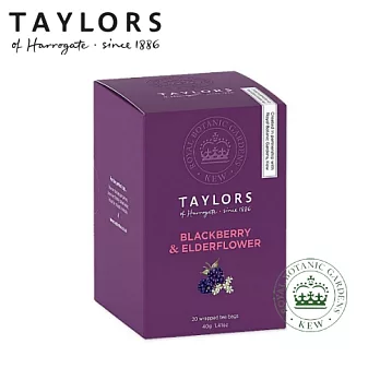 Taylors 英國泰勒黑莓接骨木花草茶