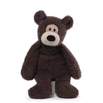 美國Gund擁抱系列 /小熊