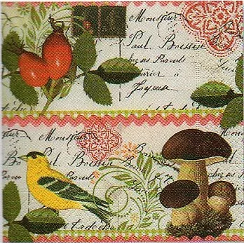 《Paper+Design》餐巾紙-Botanical Postcard 植物園明信片