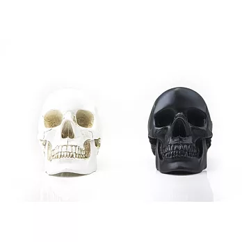 Suck UK【腦袋裝什麼小物容器】白