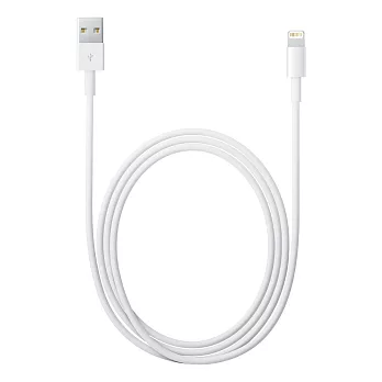 Apple Lightning 對 USB 原廠連接線 (1 公尺) 原廠吊卡包裝
