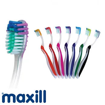 【加拿大美適】成人護齦牙刷(絲綢級軟毛)