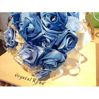 DIY輕鬆折折-手作緞帶玫瑰組合(海洋之星)