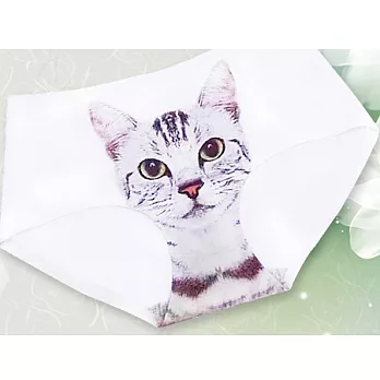 3D防走光無痕喵星人內褲(2入組)A款-白色