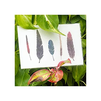 Dottinghill 刺青 紋身貼紙 / Feathers 1