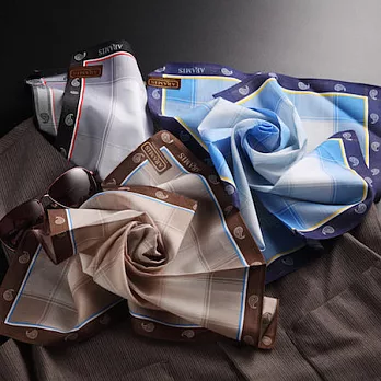 taoru 日本毛巾 紳士手帕_紳士的品格 47*47cm 紫藍