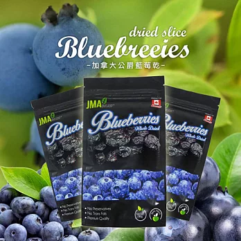 JMA 加拿大公爵藍莓乾40g