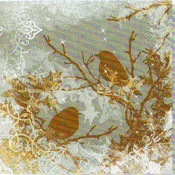 《Paper+Design》餐巾紙-Two birds雙飛