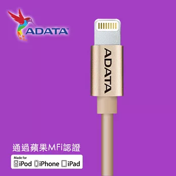 ADATA Aluminum Lightning 充電傳輸線金