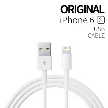 [ZIYA] iPhone 6S Lightning cable USB 數據傳輸/充電線兩用線 (原廠)