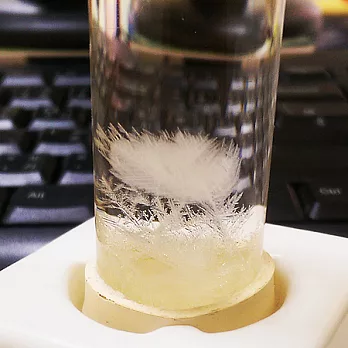 Storm Glass 天氣瓶