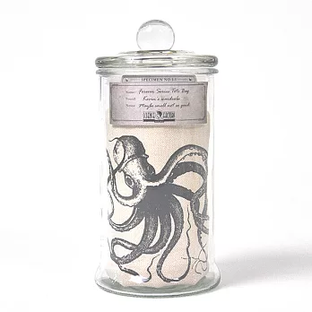 【賽先生科學工廠】Forever標本二用布包-Smooth Forever章魚