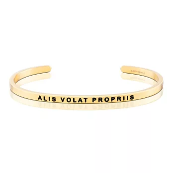 MANTRABAND ALIS VOLAT PROPRIIS 振翅飛翔 金 色手環 拉丁文版