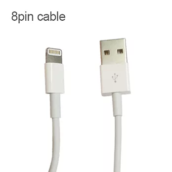 【Apple原廠】Lightning 8pin USB 傳輸線 / 充電線 / 連接線 (原廠隨機版)