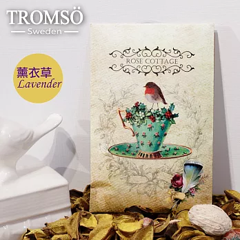 TROMSOx魅力法國-純真優雅掛勾大香氛包/薰衣草(12包入)