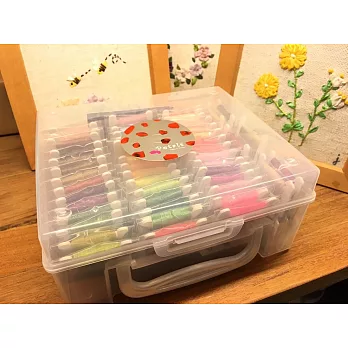 【Crystal Rose緞帶專賣店】Petals緞帶刺繡盒裝 - 8mm仿絲帶全49色