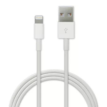 Apple 蘋果原廠 Lightning 8pin 傳輸充電線(平行輸入)-1M