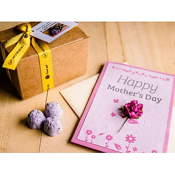 母親節種子卡片 & 康乃馨種子球植栽禮物組