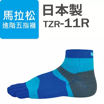 RxL馬拉松襪-進階五指襪款-TZR-11R-藍色-S