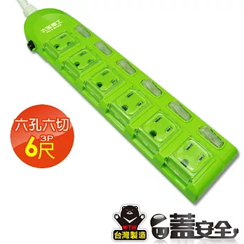 【太星電工】蓋安全彩色電腦線六開六插3P15A6尺(鮮果綠) OC66306