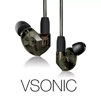 VSONIC VSD3S plus版 茶黑色耳道式耳機茶黑